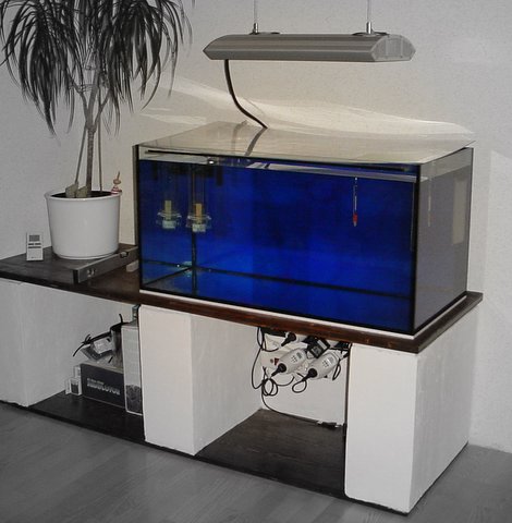 Leeres Aquarium mit Technik